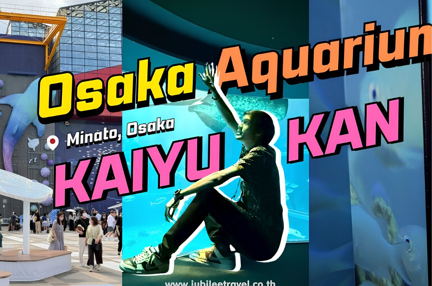 Aquarium Kaiyukan โลกใต้ทะเลใจกลางโอซาก้า
