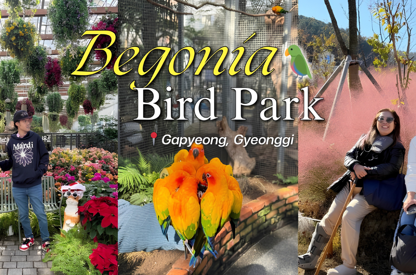 Begonia Bird Park — ที่เดียวครบ! ดอกไม้สวย นกน่ารัก ถ่ายรูปปัง
