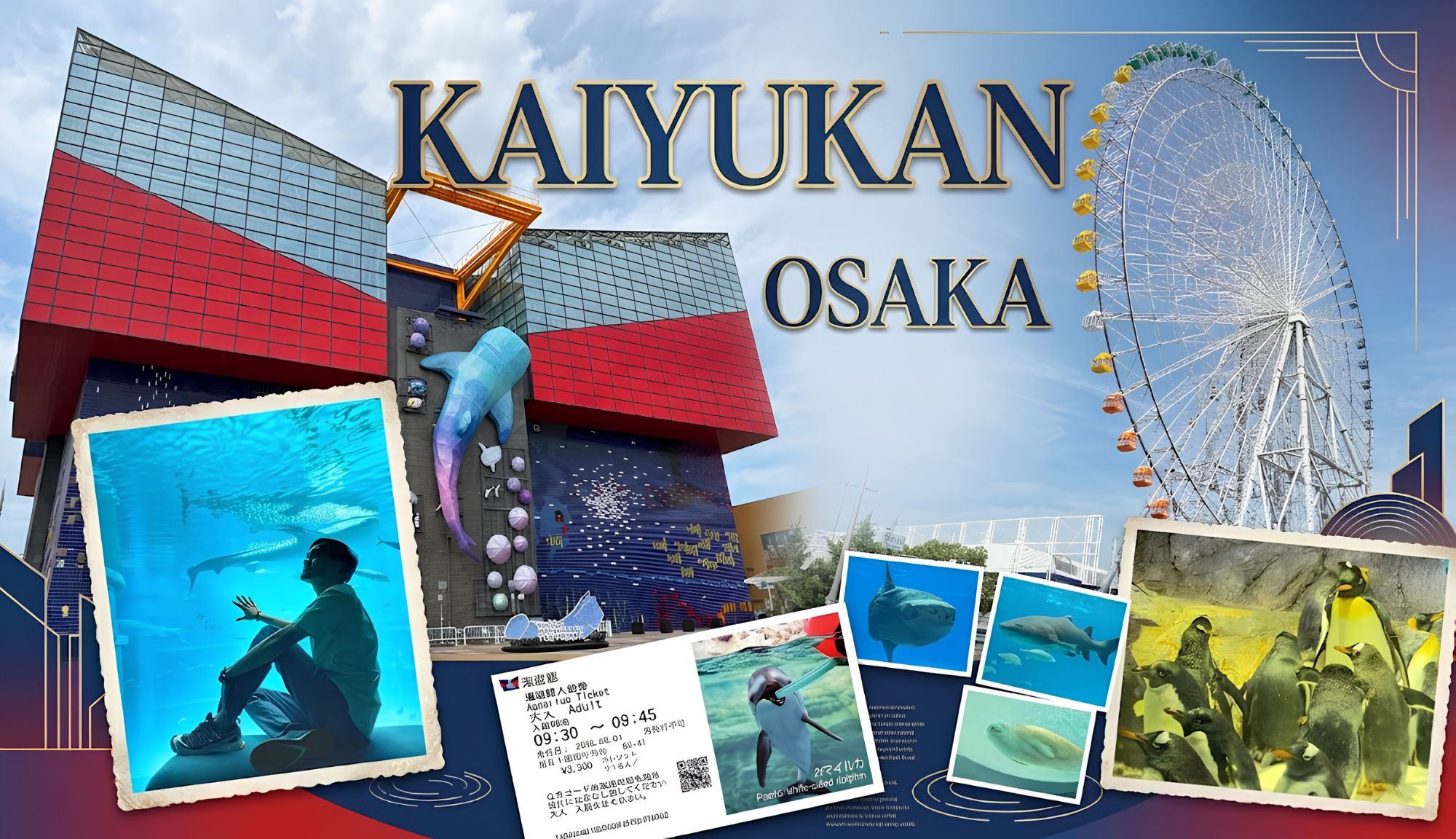 โอซาก้าไม่ได้มีแค่กูลิโกะ! ลุย Kaiyukan พิพิธภัณฑ์สัตว์น้ำระดับโลก