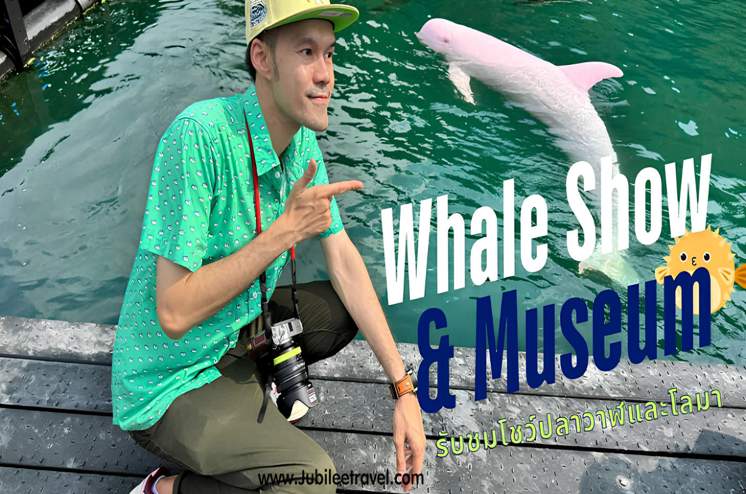 Taiji Whale Museum and Museum : ชมโชว์ปลาวาฬและโลมา สุดคิ้วววว Cute