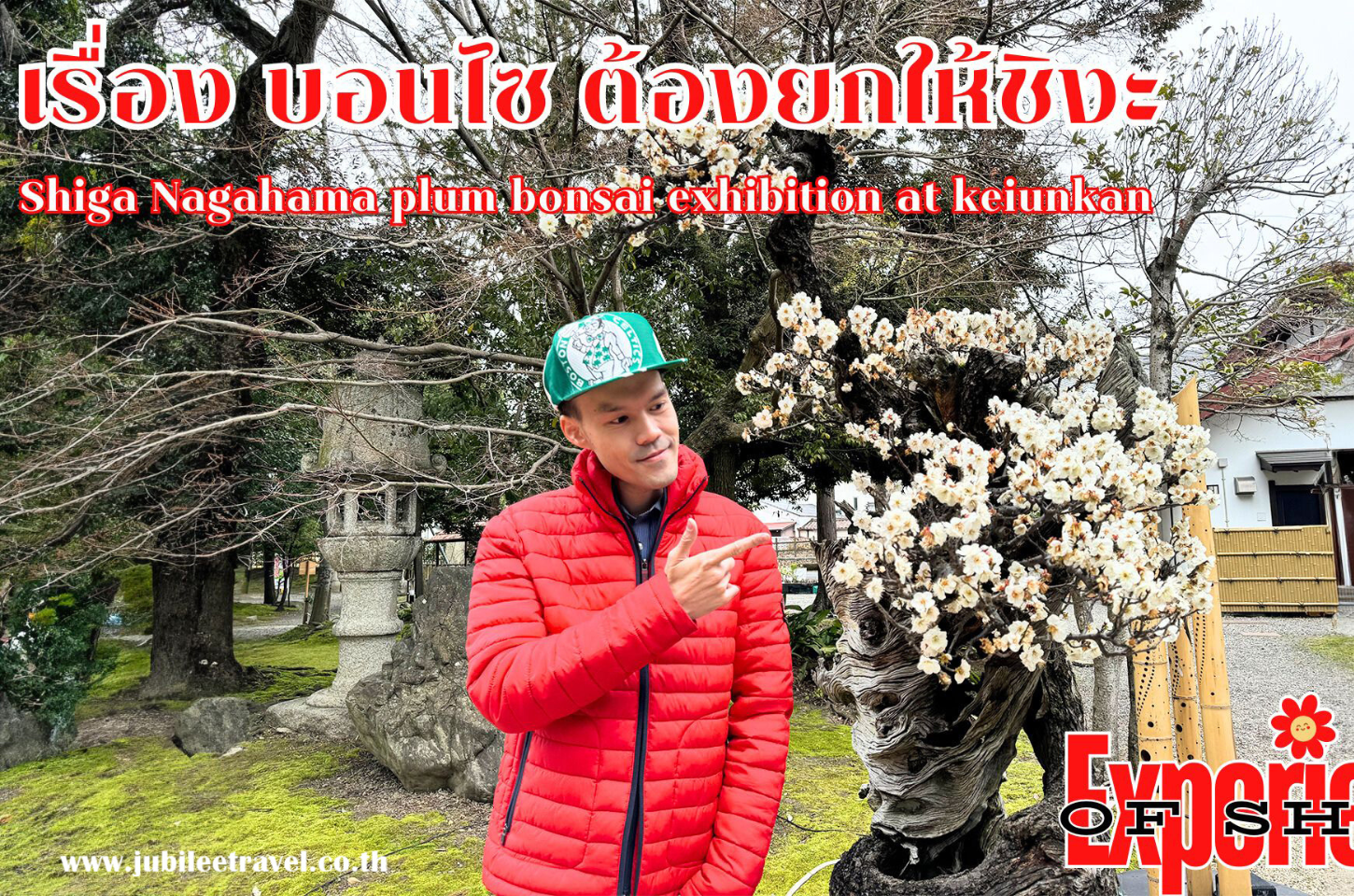 Shiga Nagahama plum bonsai exhibition at keiunkan เรื่อง บอนไซ ต้องยกให้ชิงะ
