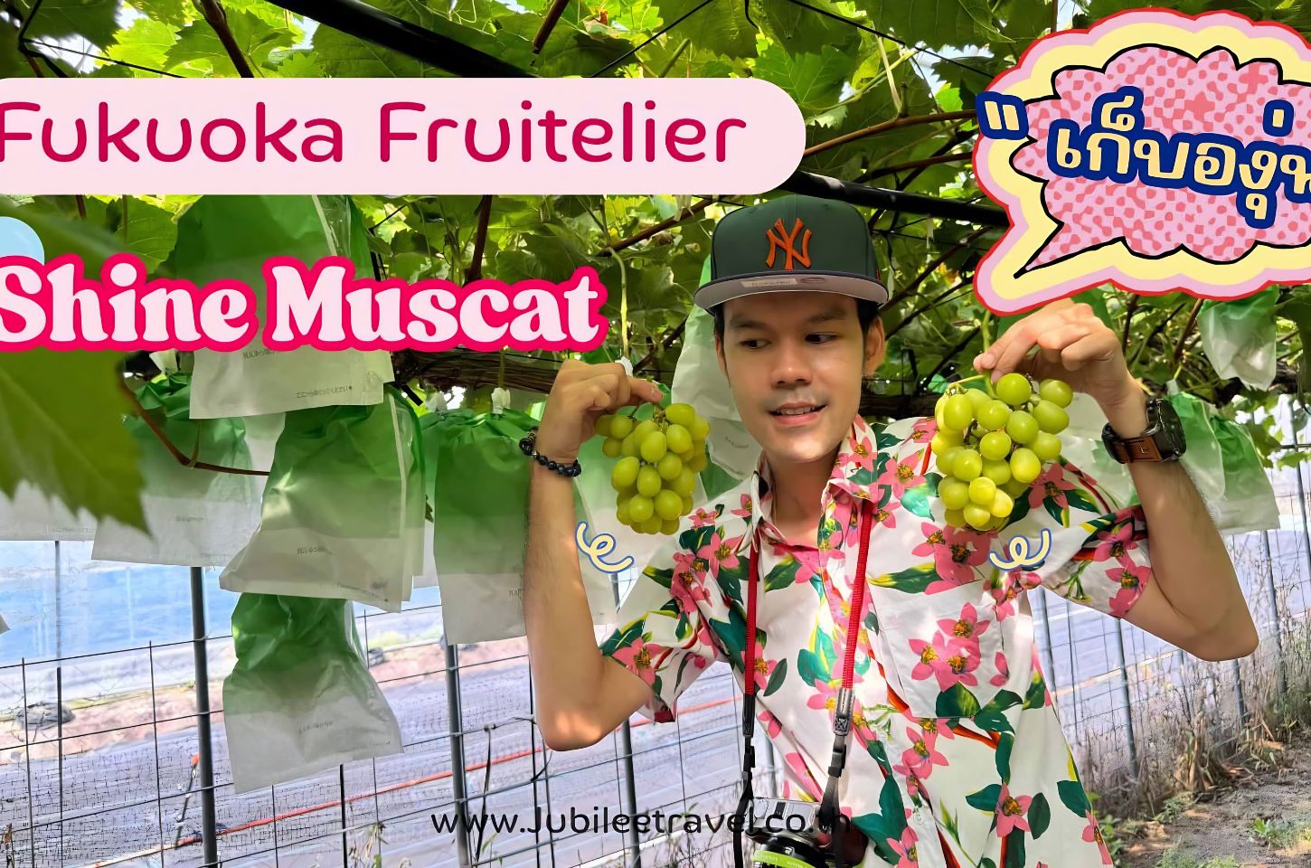 Fukuoka Fruitelier Shine Muscat : เก็บองุ่นไชน์มัสคัส
