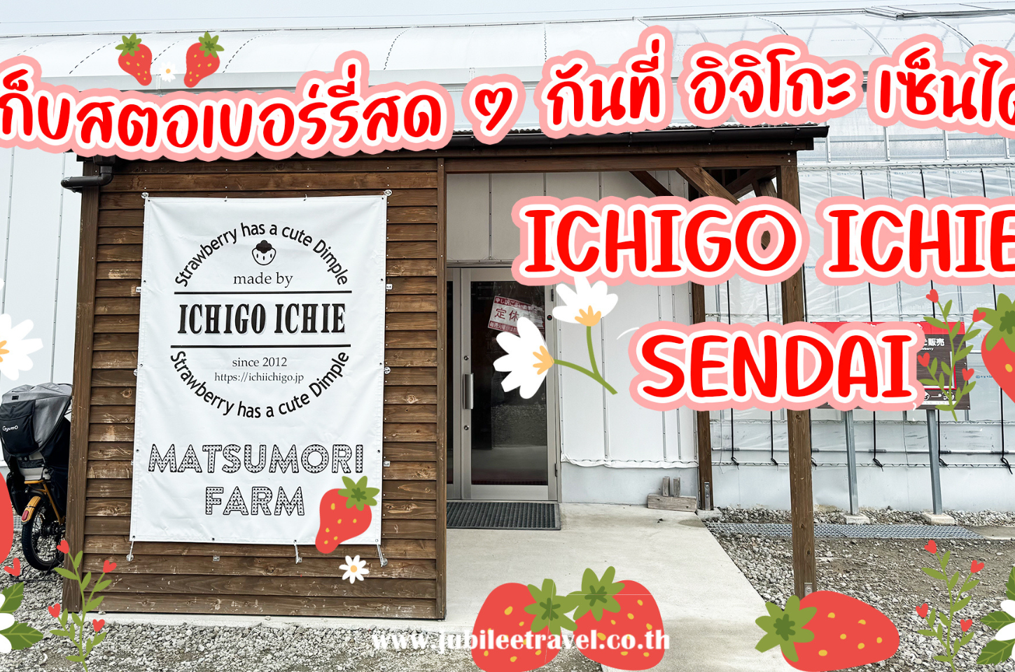 มาเก็บสตอเบอร์รี่สด ๆ กันที่ อิจิโกะ เซ็นได กัน : Ichigo Ichie Sendai