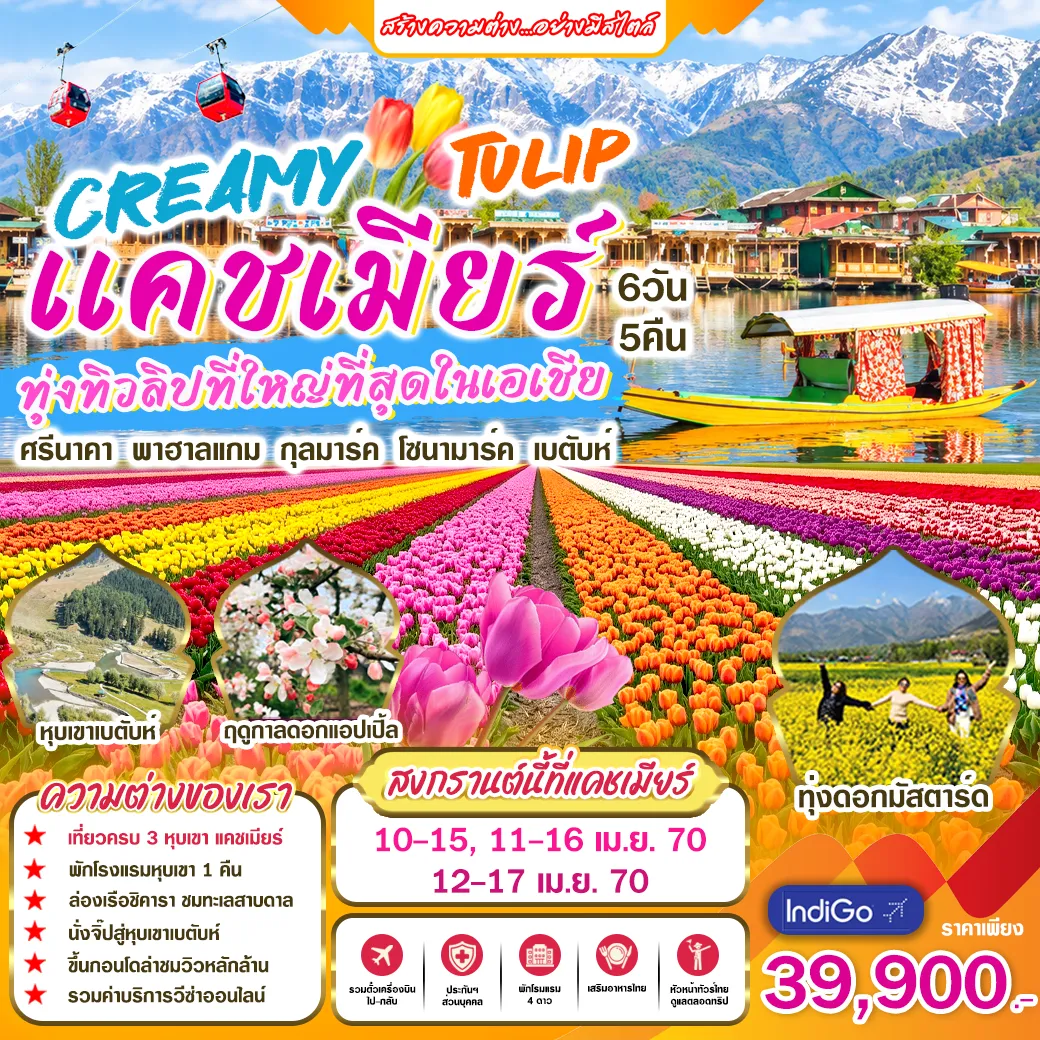 ทัวร์อินเดีย CREAMY TULIP  แคชเมียร์ทุ่งทิวลิปที่ใหญ่ที่สุดในเอเชีย 6วัน 5คืน (6E)